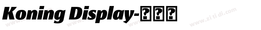 Koning Display字体转换